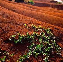 3D类Rogue游戏《长发公主》免费序章 在Steam推出